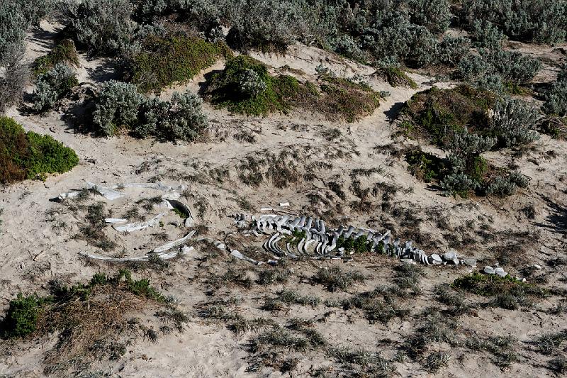 2007 05 08 Kangaroo Island 090-1_DXO.jpg